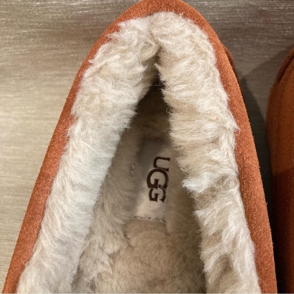 UGG Sz 8 Ascot  Lumber Everyday Go-To Wool Lining Cozy Slipper Loafer NEW W/ TAG - Picture 5 of 13
